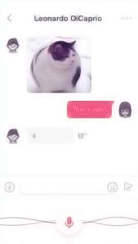 平台在线ddos压力测试软件程序维护界面